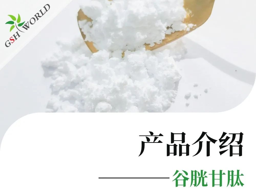 谷胱甘肽：一種強大的抗氧化劑和解毒劑