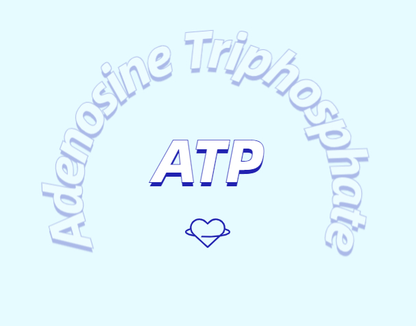 ATP 補充劑有什么作用？