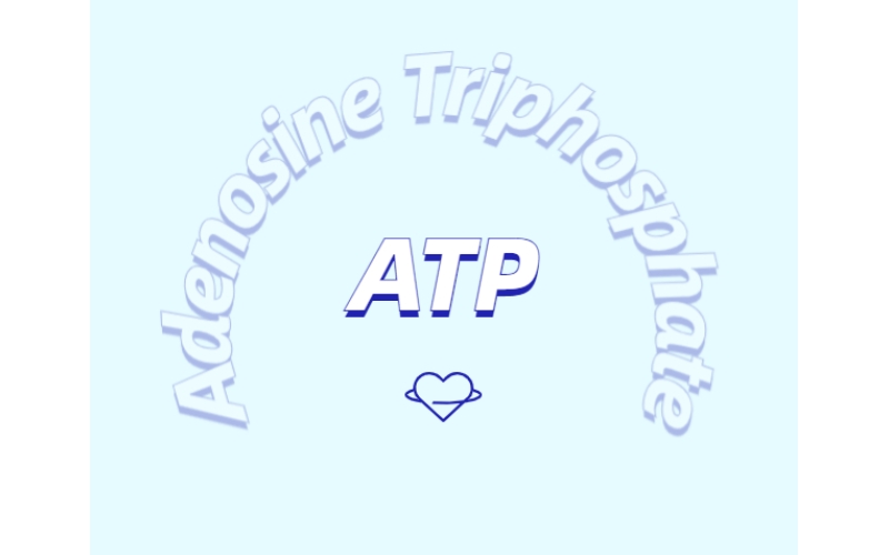 ATP 補充劑有什么作用？